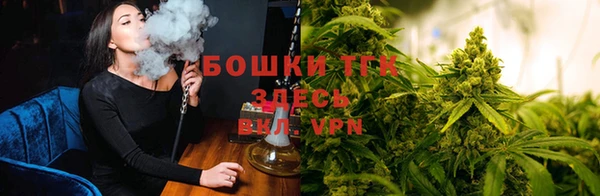 эйфоретик Касимов