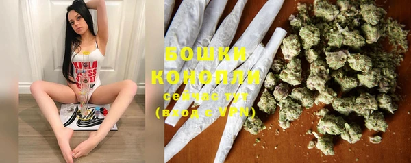 эйфоретик Касимов