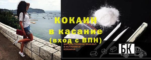 эйфоретик Касимов