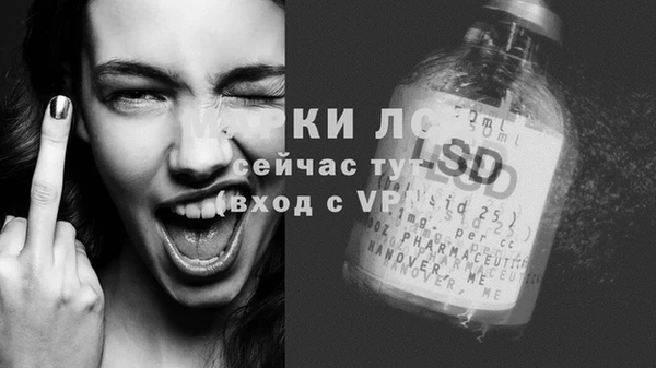 эйфоретик Касимов
